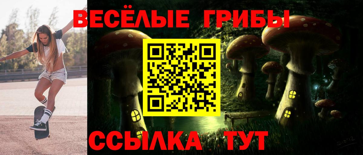 Псилоцибиновые грибы мухоморы Домодедово